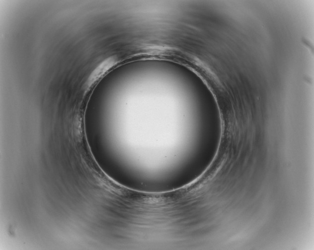 X0000099401362200805081524