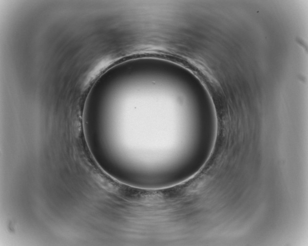 X0000099401363200805081524