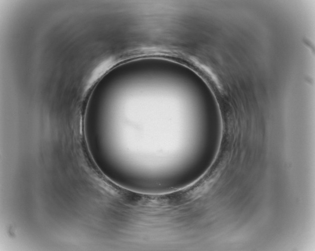 X0000099401365200805081524