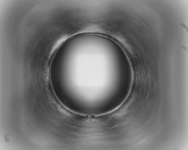 X0000099401366200805081524