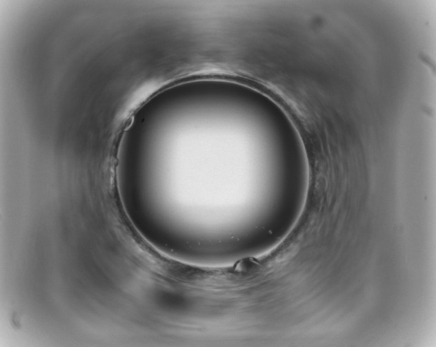 X0000099401367200805081524
