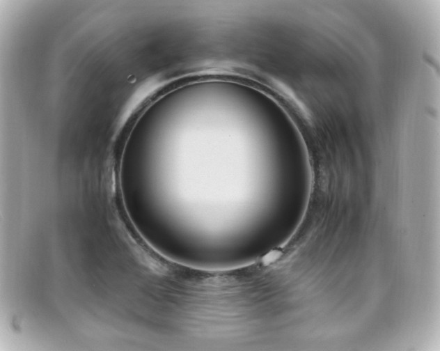 X0000099401368200805081524