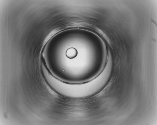 X0000099401370200805081524