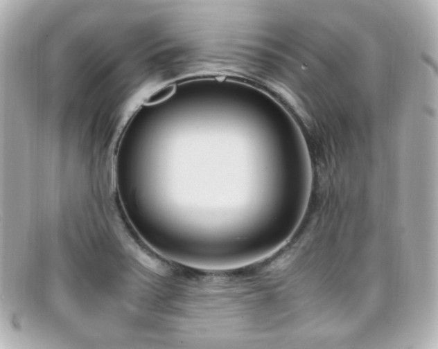 X0000099401371200805081524