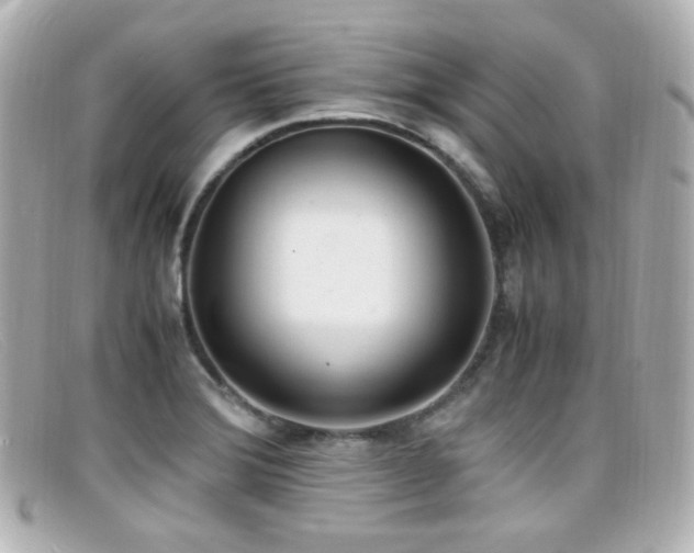 X0000099401372200805081524