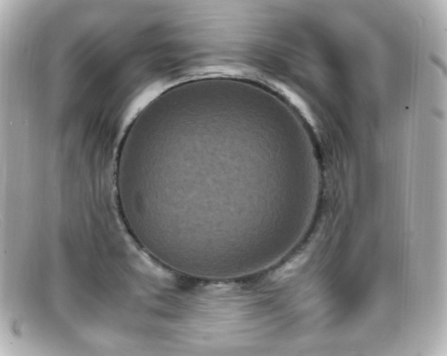 X0000099401373200805081524