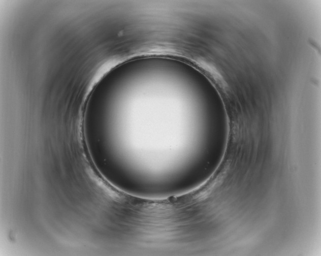 X0000099401374200805081524