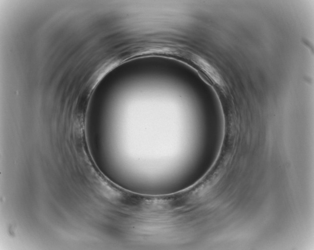 X0000099401377200805081524