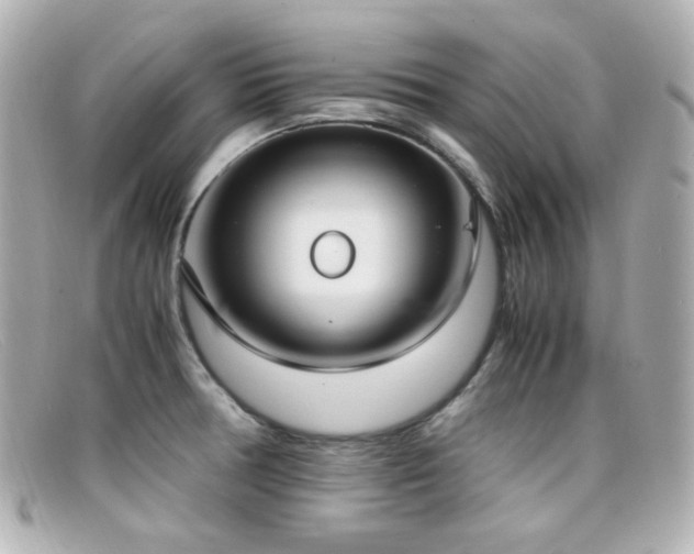 X0000099401378200805081524