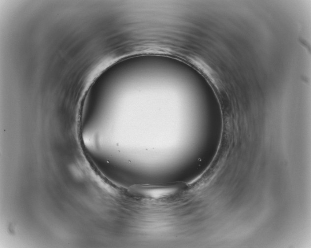 X0000099401379200805081524