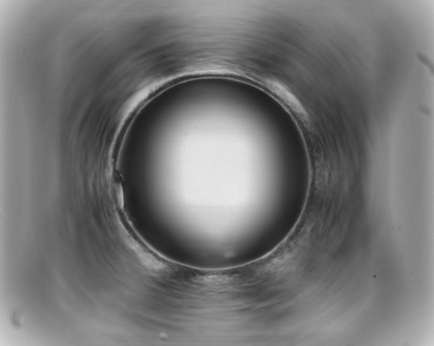 X0000099401380200805081524
