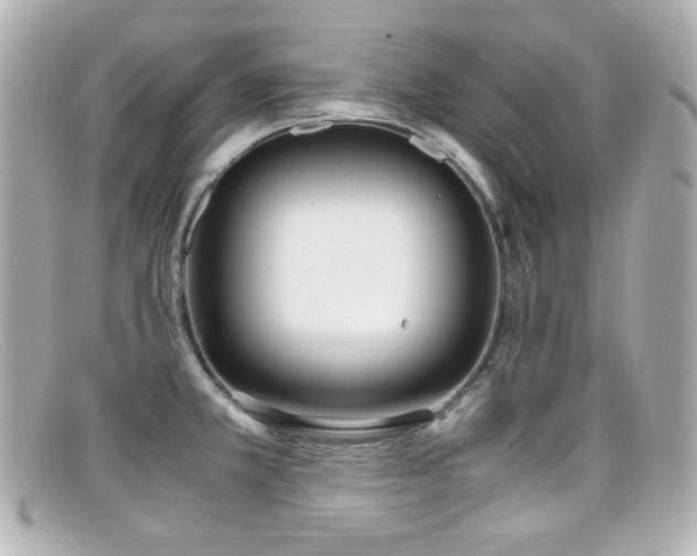 X0000099401381200805081524