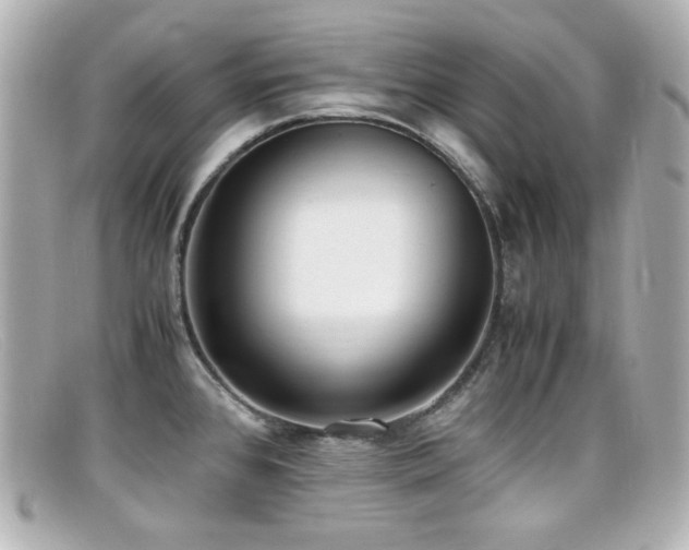 X0000099401384200805081524