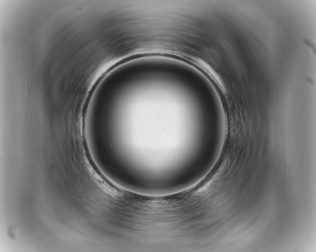 X0000099401388200805081524