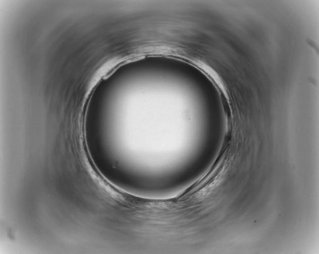 X0000099401389200805081524