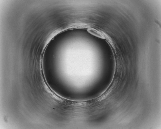 X0000099401390200805081524