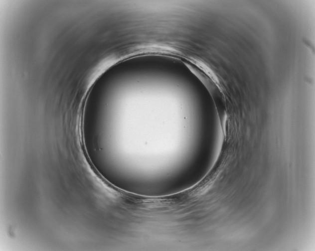 X0000099401391200805081524