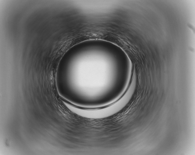 X0000099401395200805081523