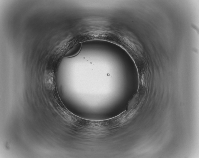 X0000099401396200805081523
