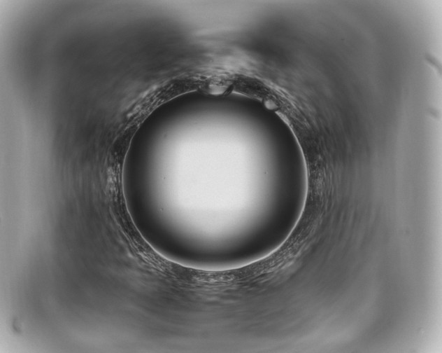X0000099401397200805081523