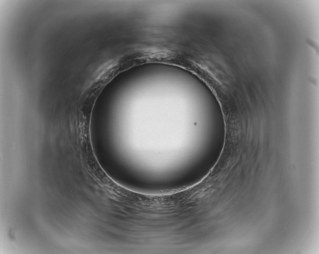 X0000099401399200805081523