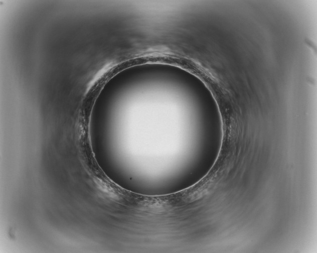 X0000099401400200805081523