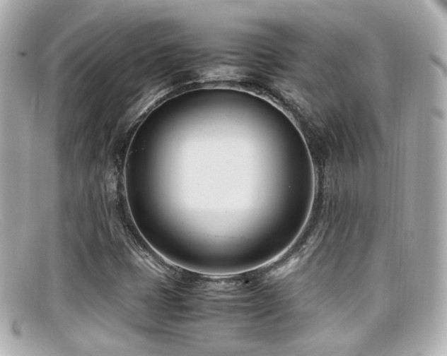 X0000099401401200805081523