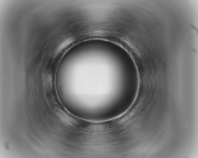 X0000099401402200805081523