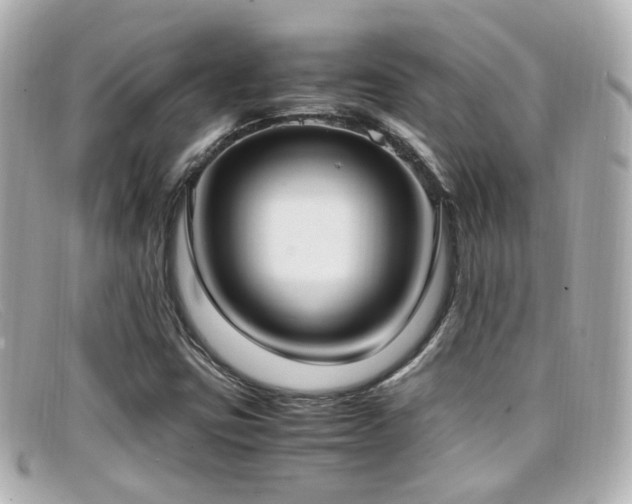 X0000099401403200805081523