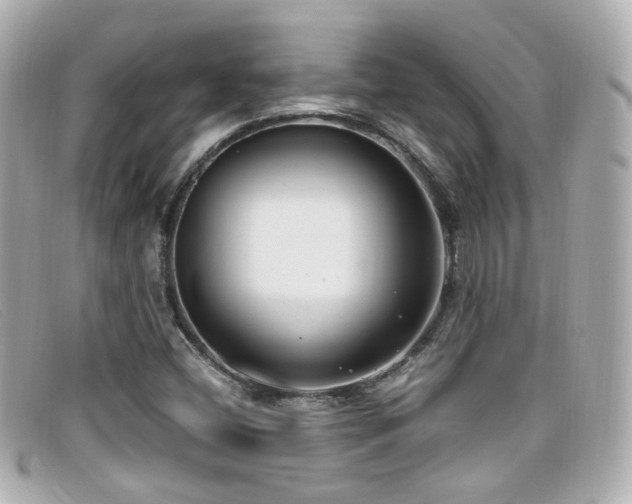 X0000099401404200805081523