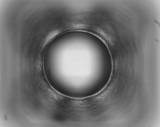 X0000099401405200805081523