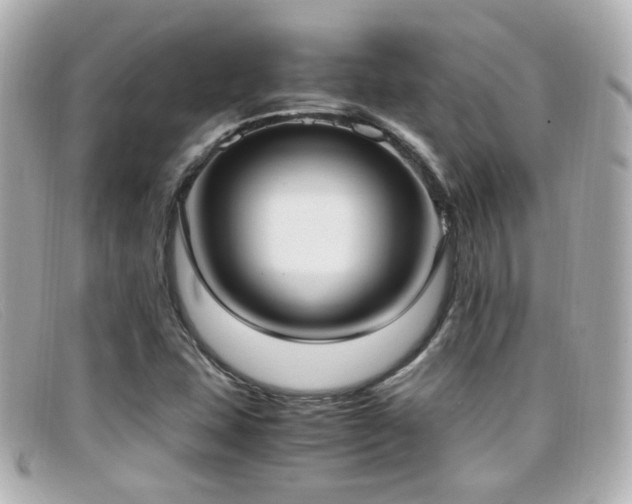 X0000099401407200805081523