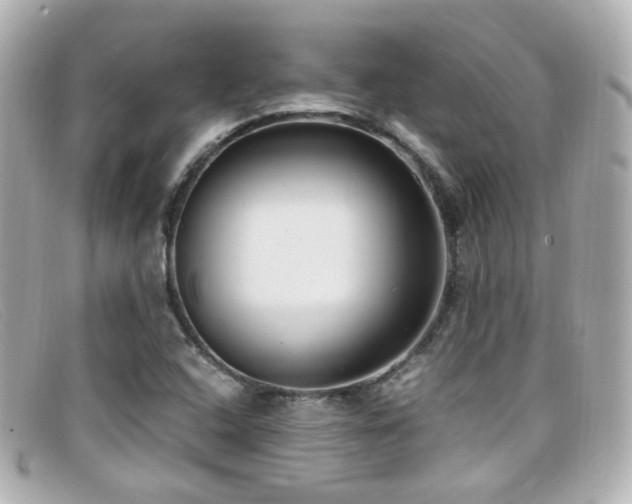 X0000099401408200805081523