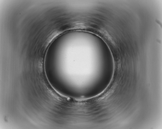 X0000099401409200805081523