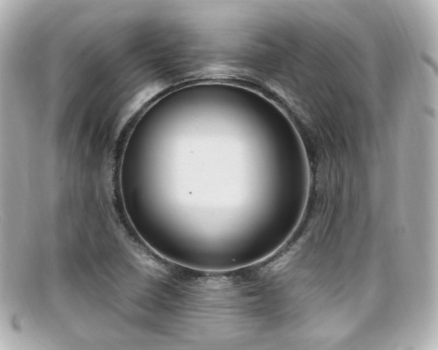X0000099401410200805081523