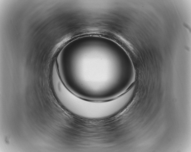 X0000099401411200805081523