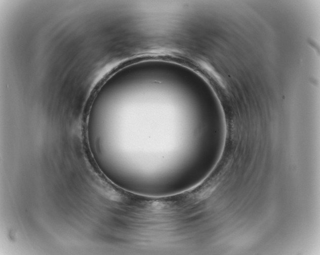 X0000099401412200805081523