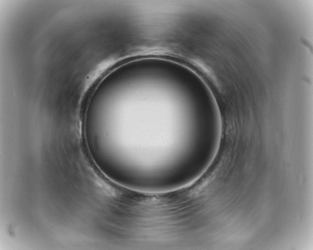X0000099401414200805081523