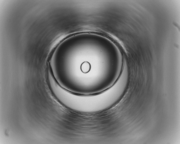 X0000099401415200805081524