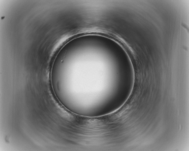 X0000099401416200805081524