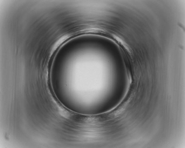 X0000099401418200805081524