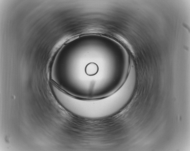 X0000099401419200805081524