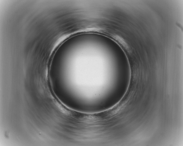 X0000099401420200805081524