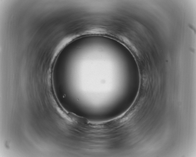 X0000099401421200805081524