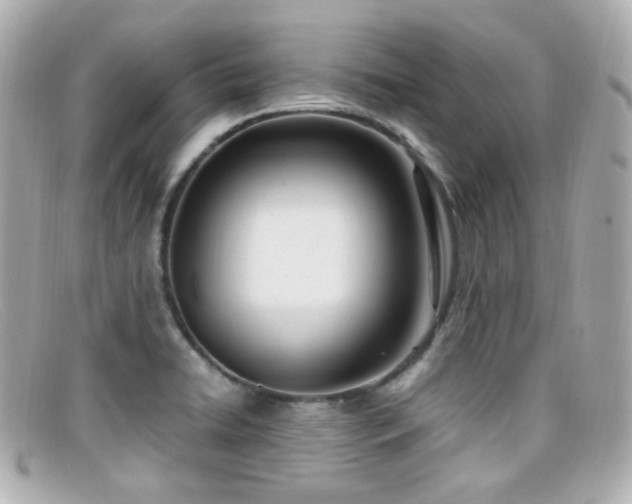 X0000099401422200805081524