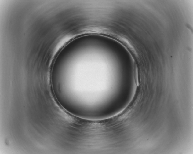 X0000099401424200805081524