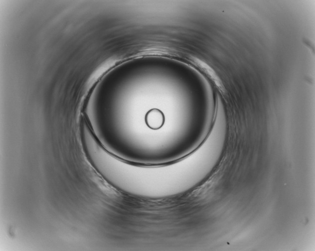 X0000099401427200805081524
