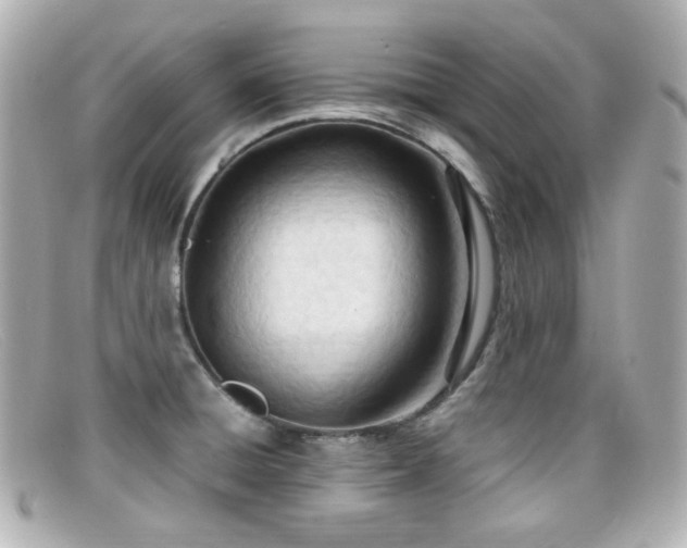 X0000099401428200805081524
