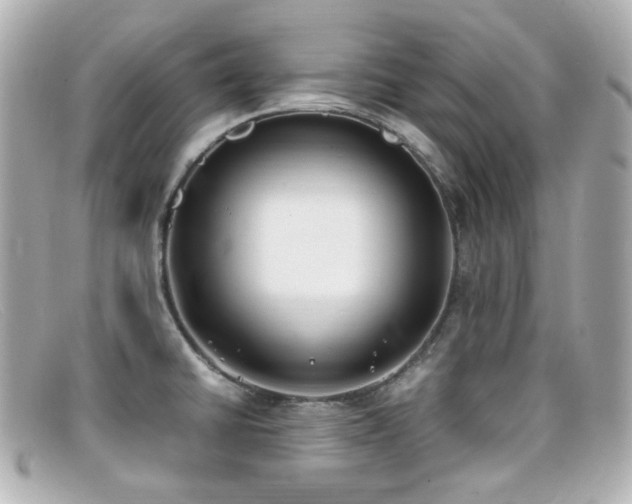 X0000099401430200805081524