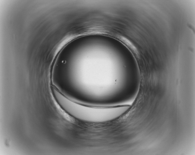 X0000099401431200805081524